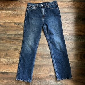 ~*~ Gap 90s Straight High Rise Jeans 10S ~*~